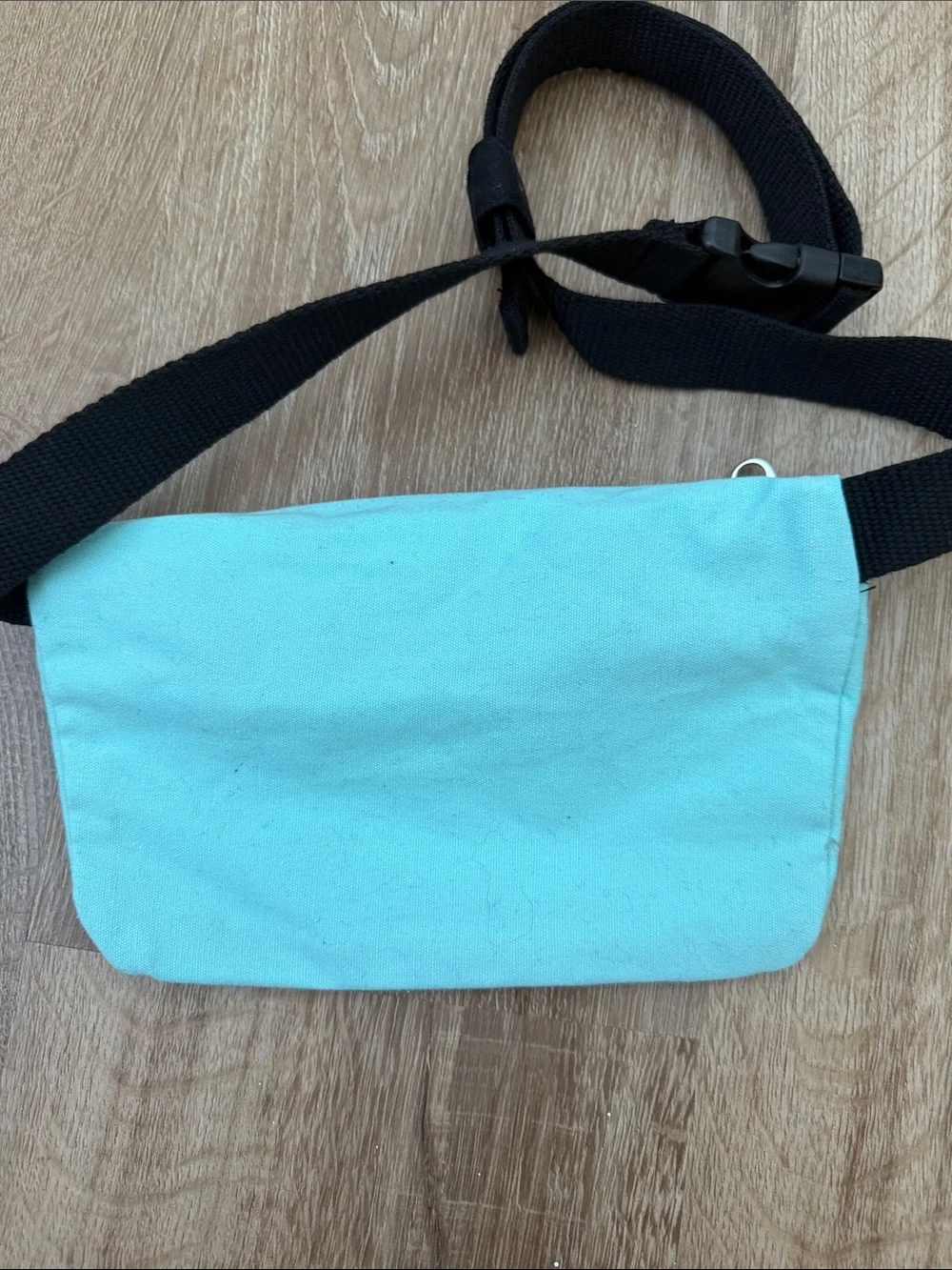 PINK Victoria's Secret Mint Canvas Crossbody Bag with Black Strap